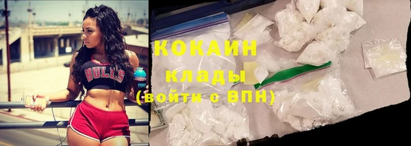 стаф Баксан