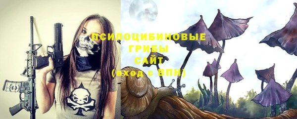 стаф Баксан