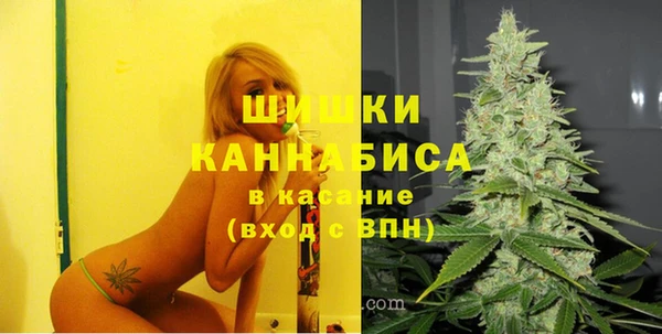 стаф Баксан