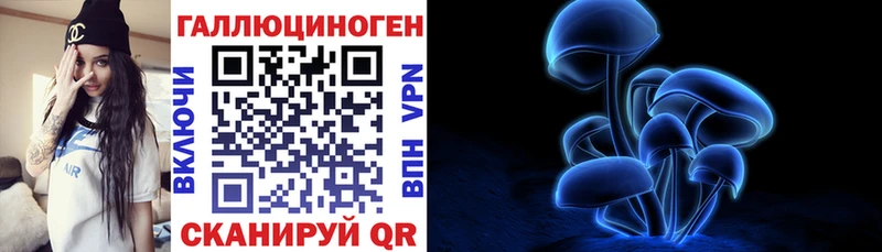 купить   мега tor  Псилоцибиновые грибы мухоморы  Суоярви 